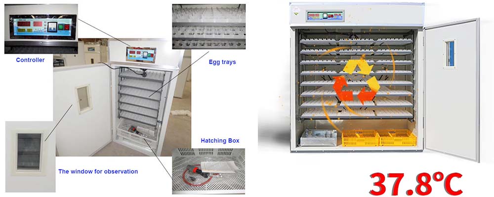 Chicken Egg Incubator