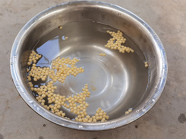 floating fish feed pellet machine2