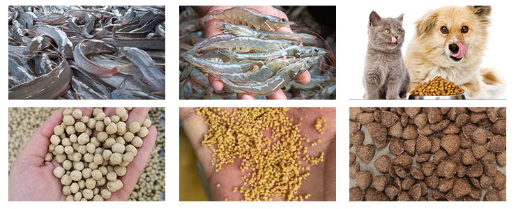 fish feed machine application