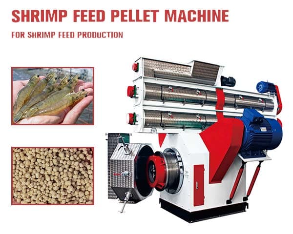 Shrimp Feed Pellet Machine